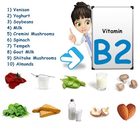vitamin B2 còn làm tăng tốc độ tái hiện máu